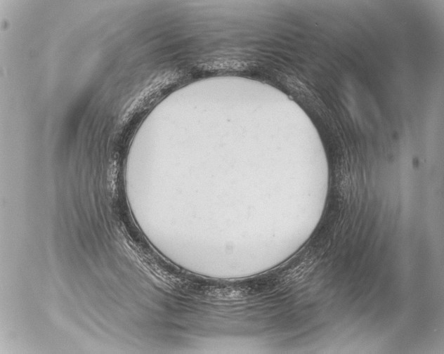 X0000052610735200507292148