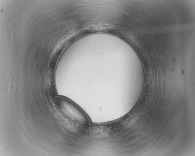 X0000052610736200507292148