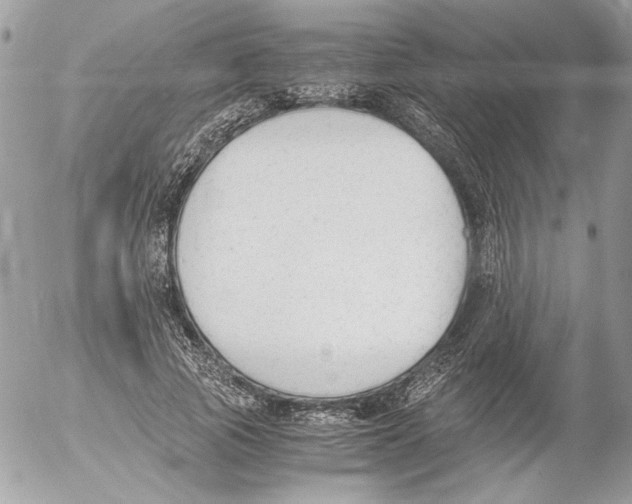 X0000052610737200507292148