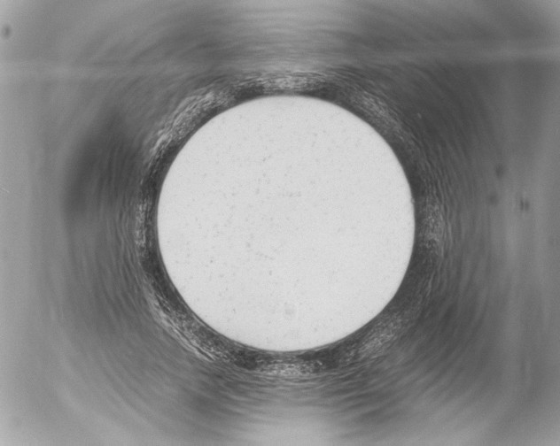 X0000052610738200507292148