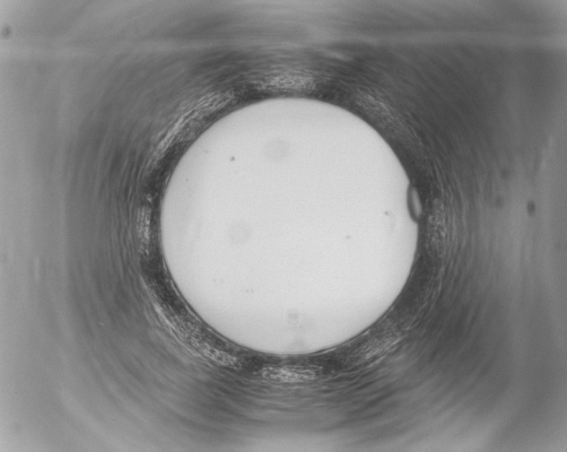 X0000052610739200507292148