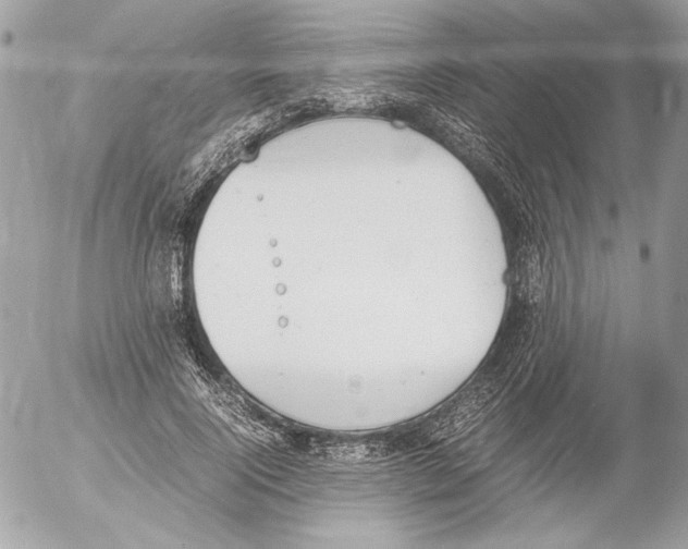 X0000052610740200507292148