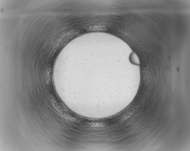 X0000052610741200507292148