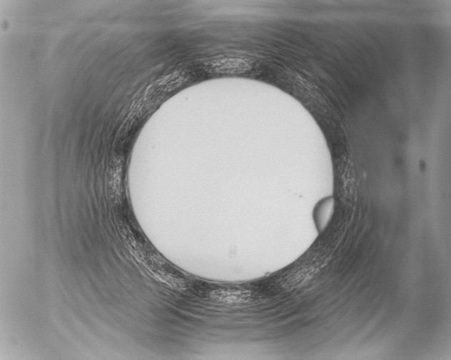 X0000052610745200507292148