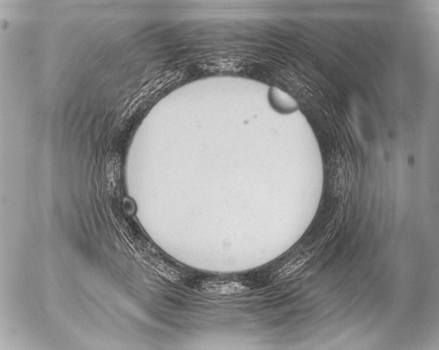 X0000052610747200507292148