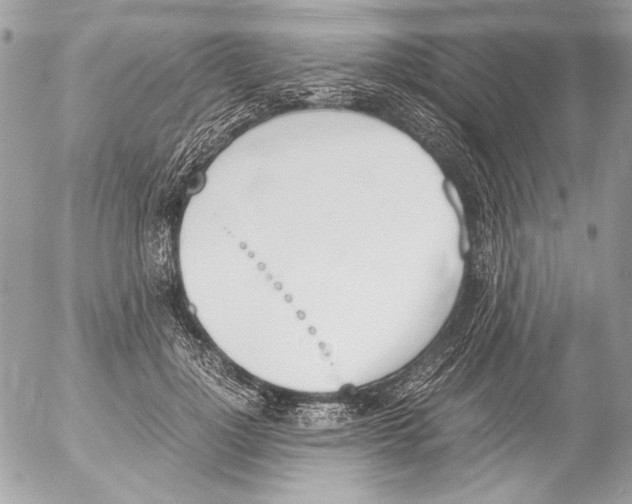 X0000052610748200507292148