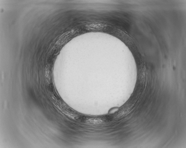 X0000052610749200507292148