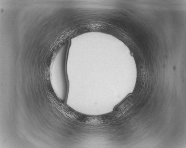 X0000052610750200507292148