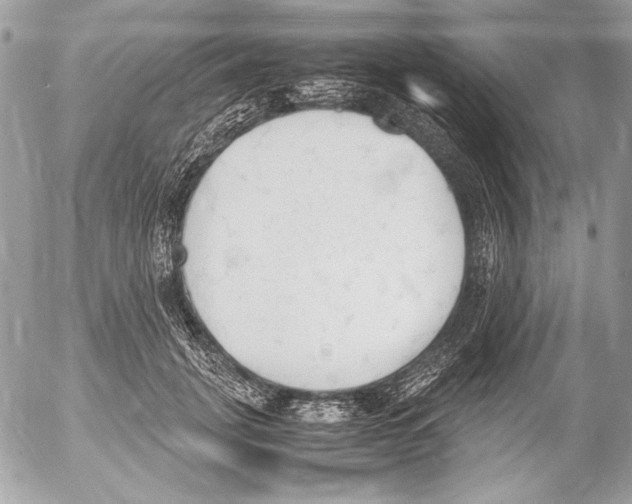 X0000052610751200507292148