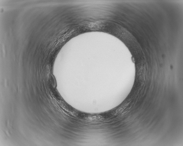 X0000052610752200507292148