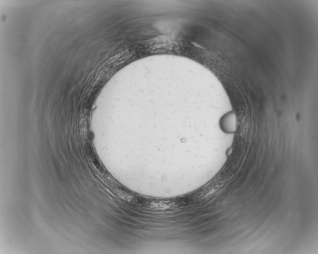 X0000052610753200507292148