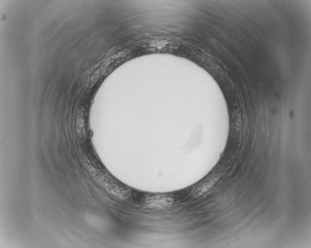 X0000052610754200507292148