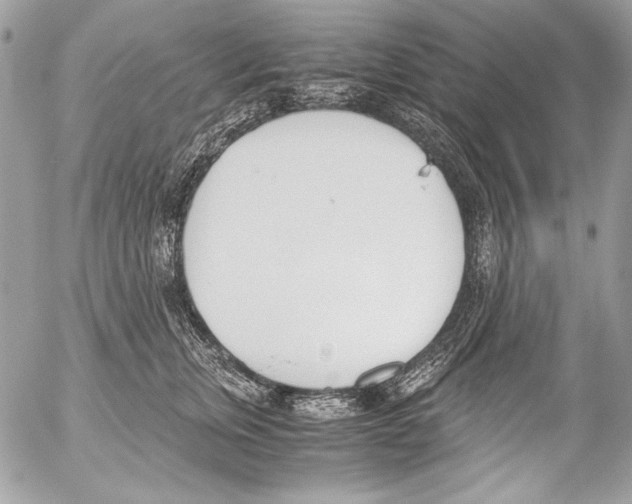 X0000052610759200507292148