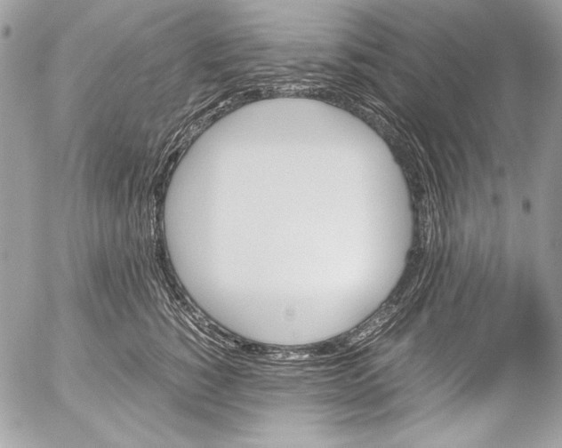 X0000052610760200507292148