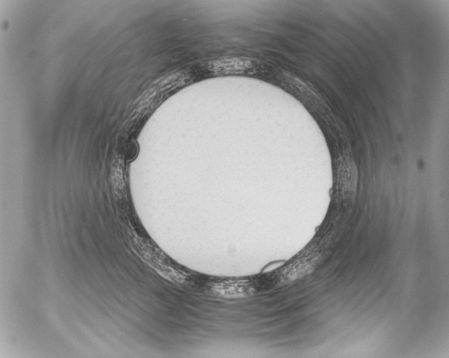 X0000052610761200507292148