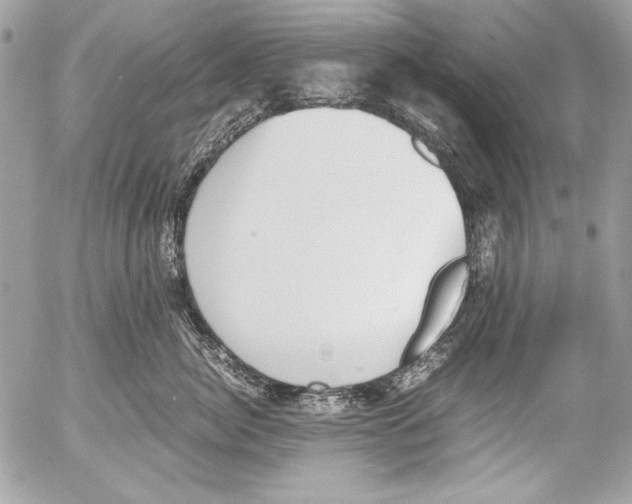 X0000052610764200507292148