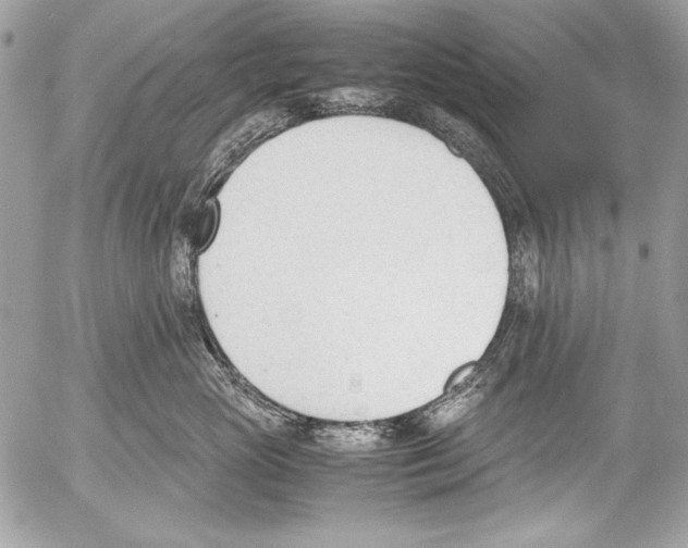 X0000052610765200507292148