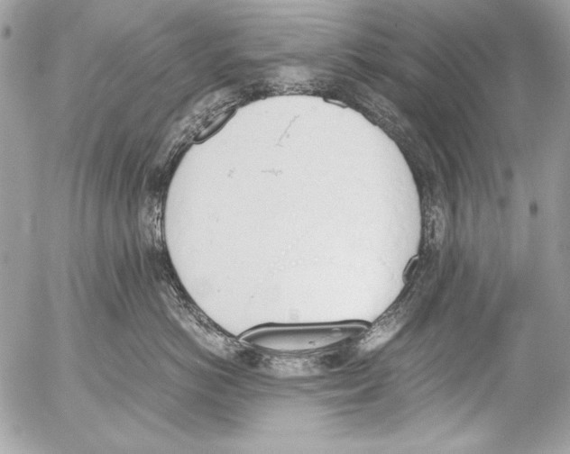 X0000052610766200507292148