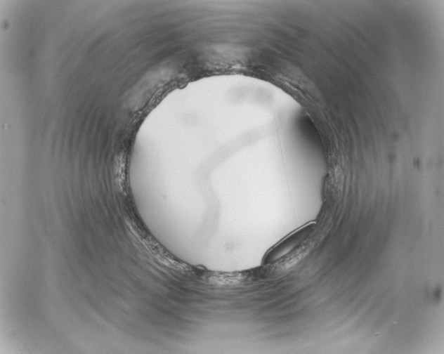 X0000052610767200507292148