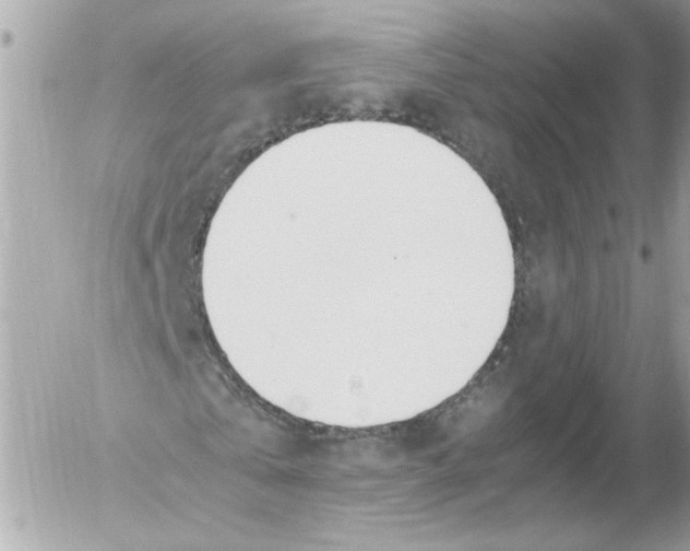 X0000052610769200507292148