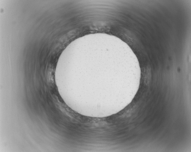 X0000052610770200507292148