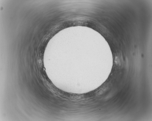 X0000052610771200507292148