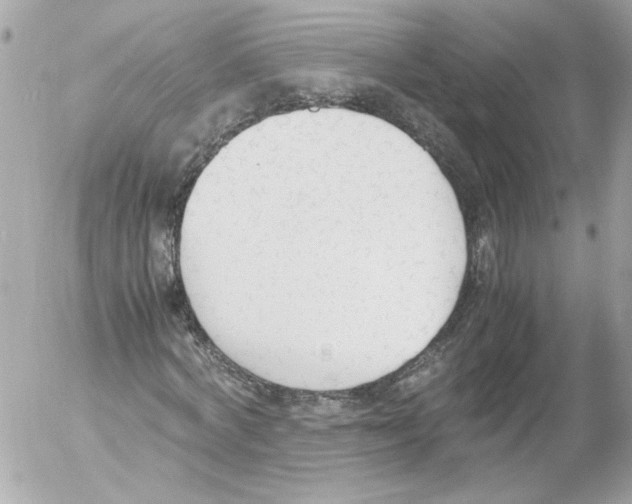 X0000052610772200507292148