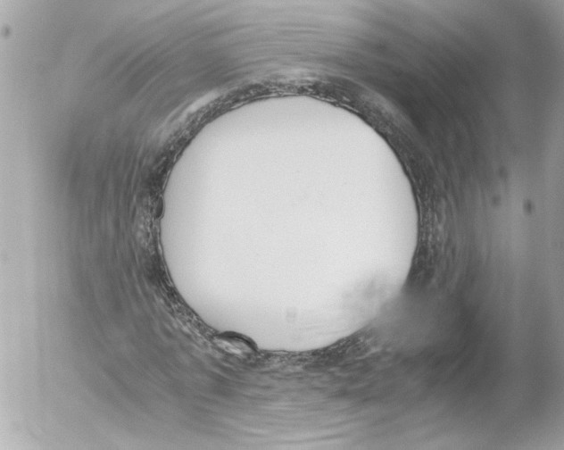 X0000052610773200507292148