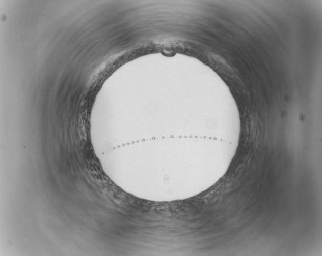 X0000052610776200507292148