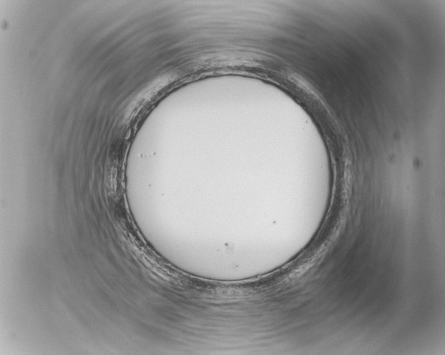 X0000052610777200507292148