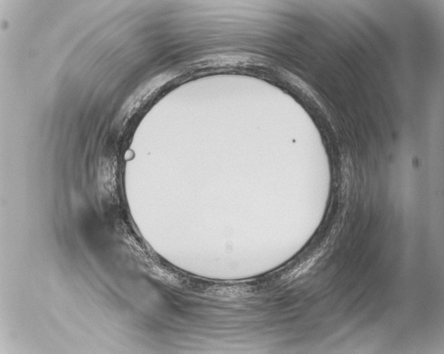 X0000052610778200507292148