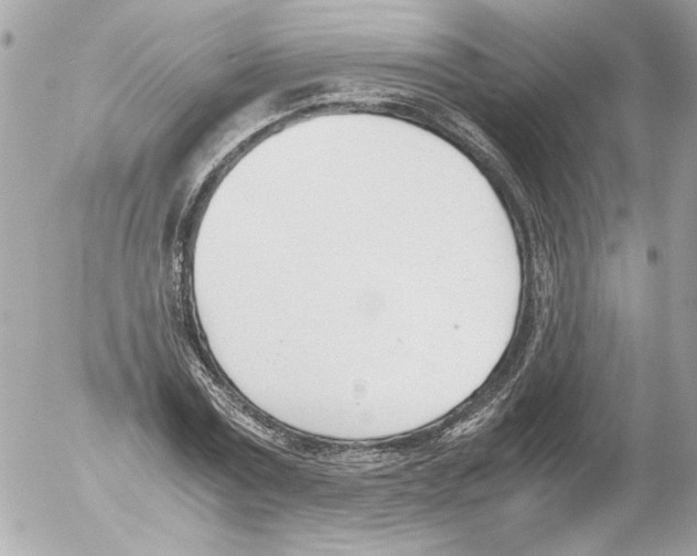 X0000052610779200507292148