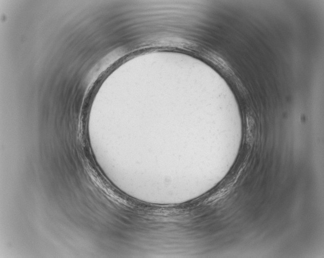 X0000052610780200507292148