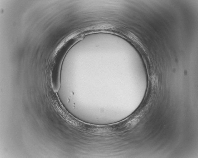 X0000052610781200507292148