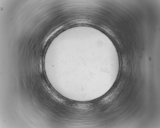 X0000052610782200507292148