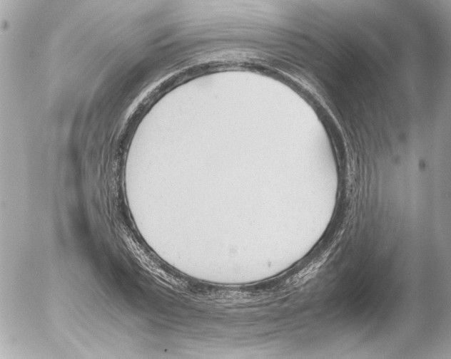 X0000052610783200507292147