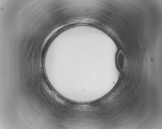 X0000052610784200507292147