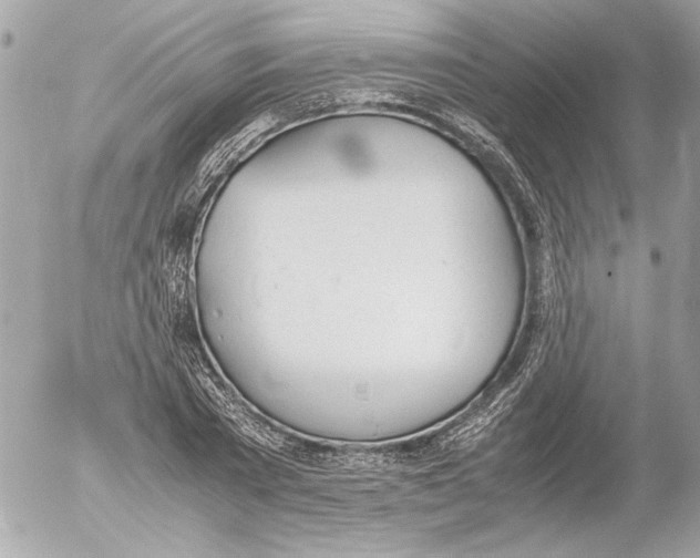 X0000052610785200507292147