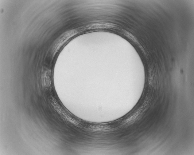 X0000052610786200507292147