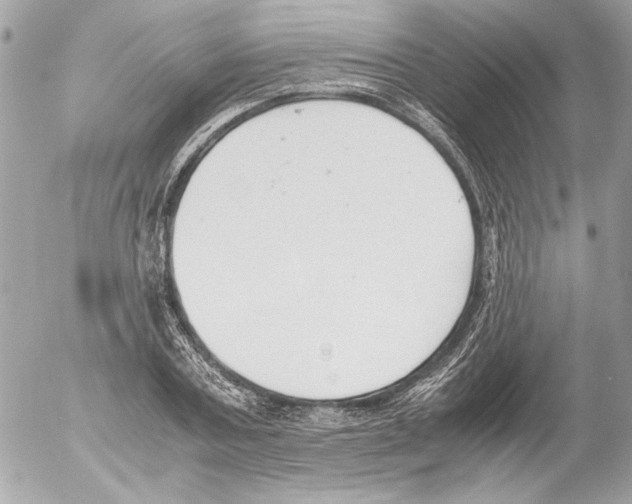 X0000052610787200507292147