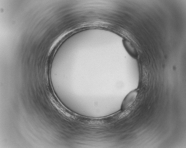 X0000052610788200507292147