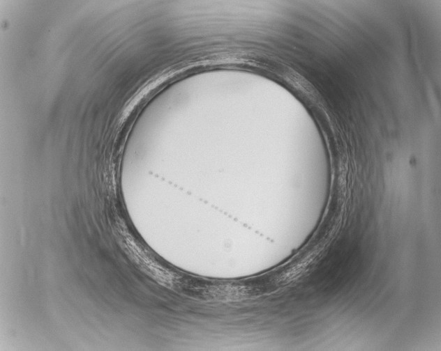 X0000052610789200507292147