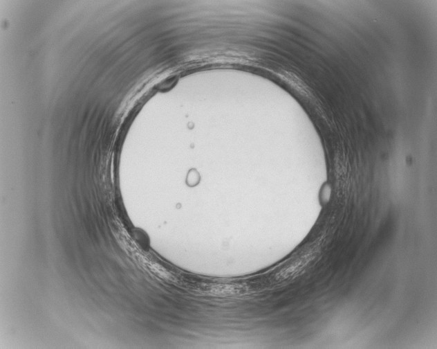 X0000052610790200507292147