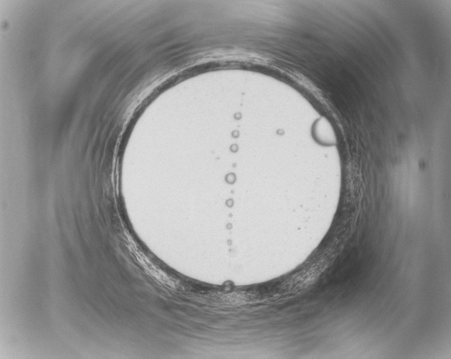 X0000052610791200507292147