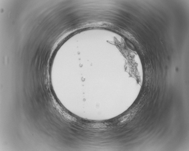 X0000052610792200507292147