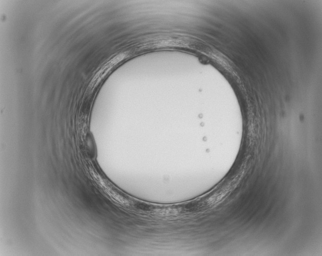 X0000052610793200507292147