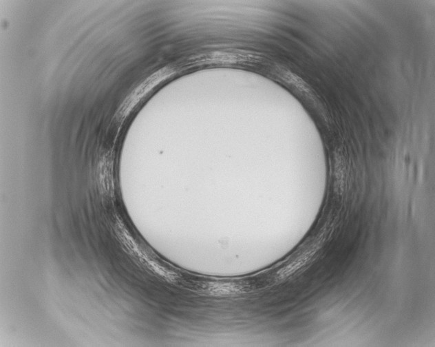 X0000052610794200507292147