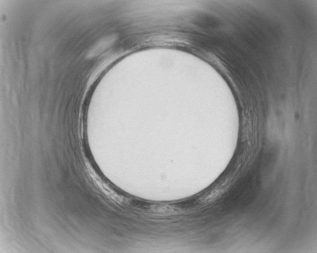 X0000052610795200507292147