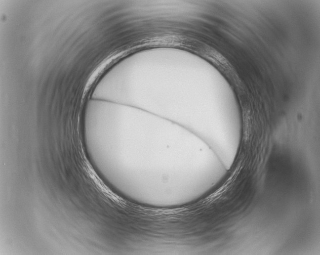 X0000052610796200507292147