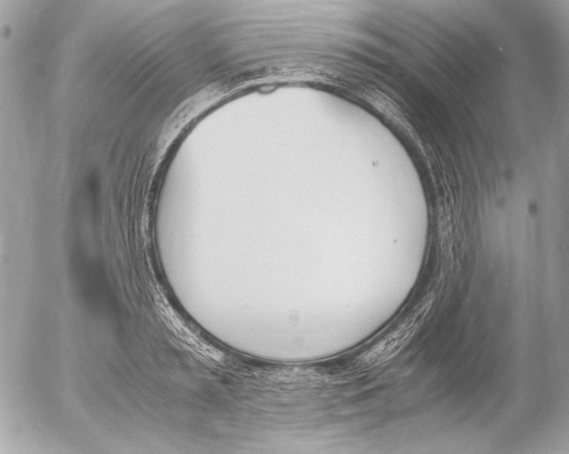 X0000052610797200507292147